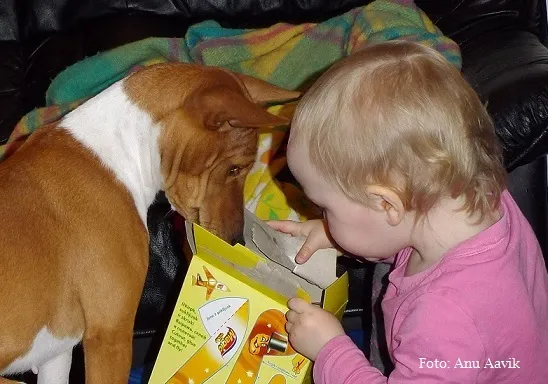 Bibi ja Anni maisikepikestega
