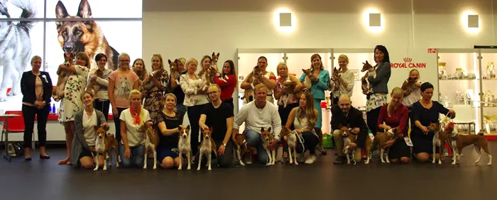 Basenjide erinäitus 2016